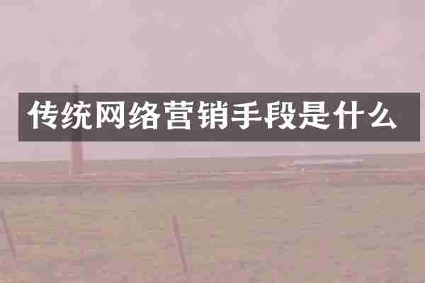 传统网络营销手段是什么