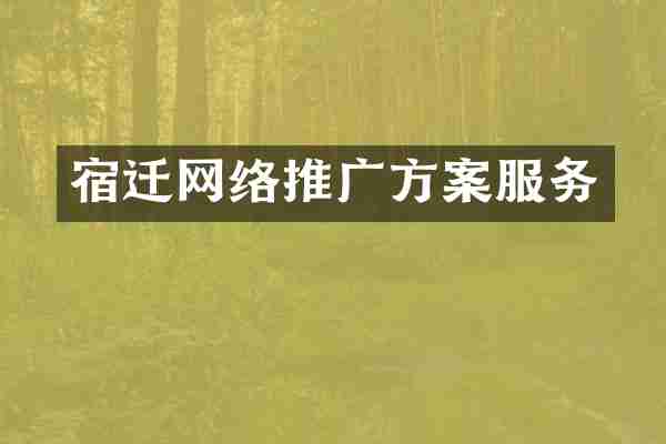 宿迁网络推广方案服务