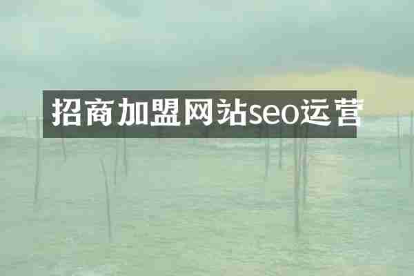 招商加盟网站seo运营