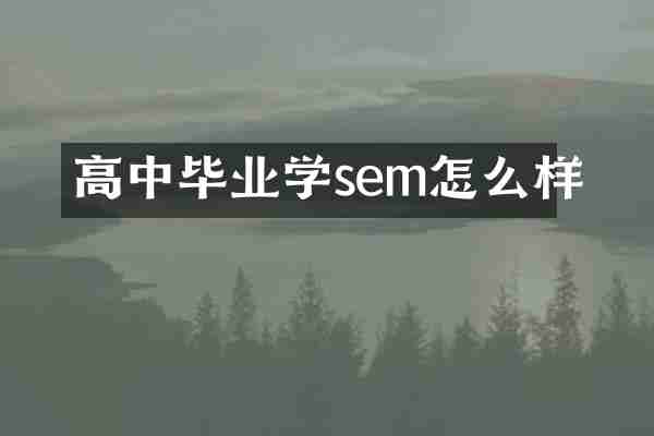 高中毕业学sem怎么样