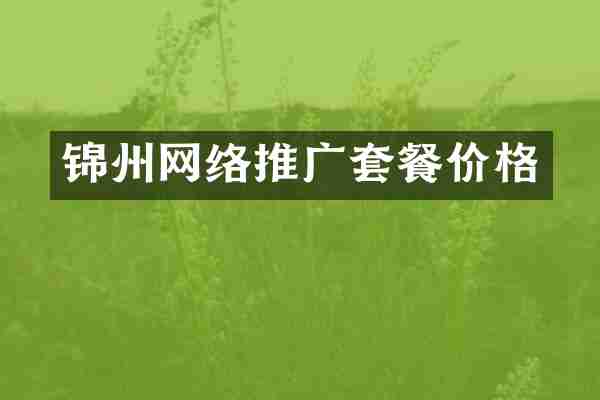 锦州网络推广套餐价格