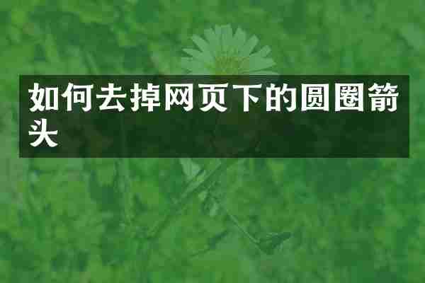 如何去掉网页下的圆圈箭头