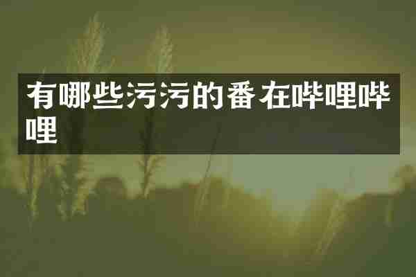 有哪些污污的番在哔哩哔哩