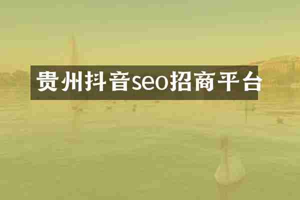 贵州抖音seo招商平台