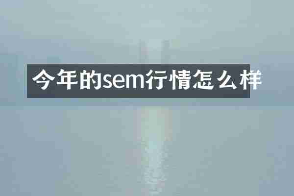 今年的sem行情怎么样