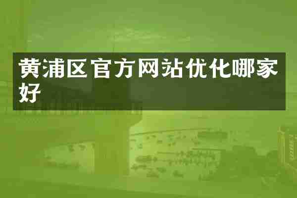 黄浦区官方网站优化哪家好