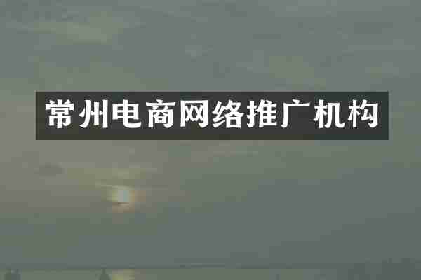 常州电商网络推广机构