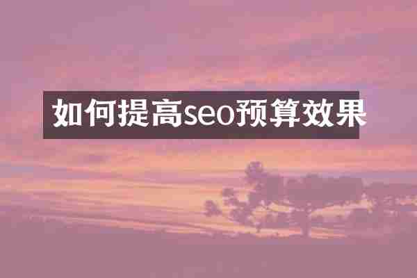 如何提高seo预算效果