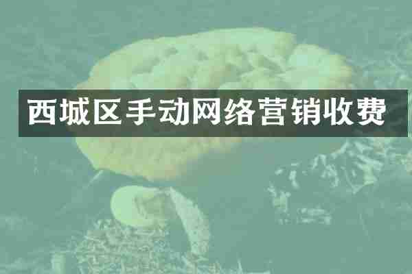 西城区手动网络营销收费