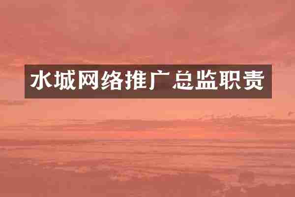 水城网络推广总监职责