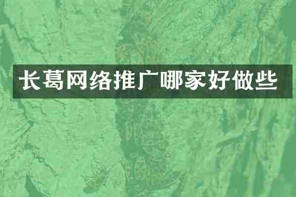 长葛网络推广哪家好做些