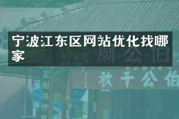 宁波江东区网站优化找哪家