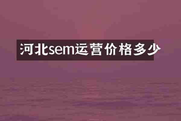 河北sem运营价格多少