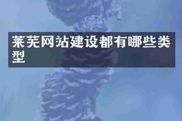 莱芜网站建设都有哪些类型