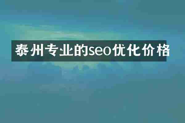 泰州专业的seo优化价格