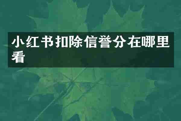 小红书扣除信誉分在哪里看