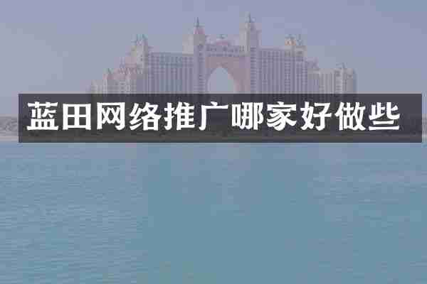 蓝田网络推广哪家好做些