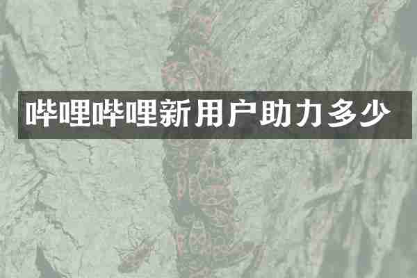 哔哩哔哩新用户助力多少