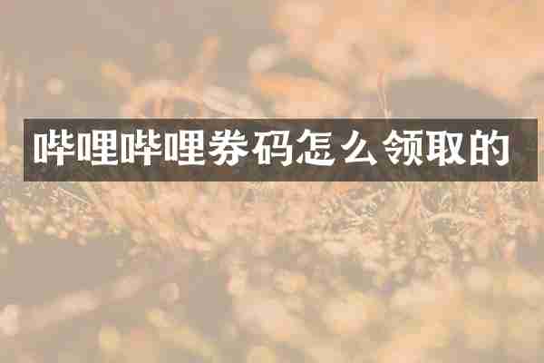 哔哩哔哩券码怎么领取的