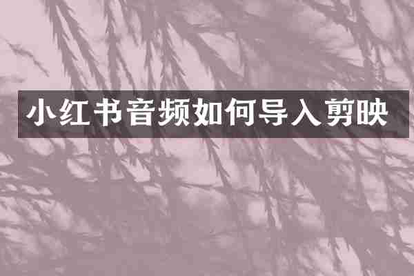 小红书音频如何导入剪映