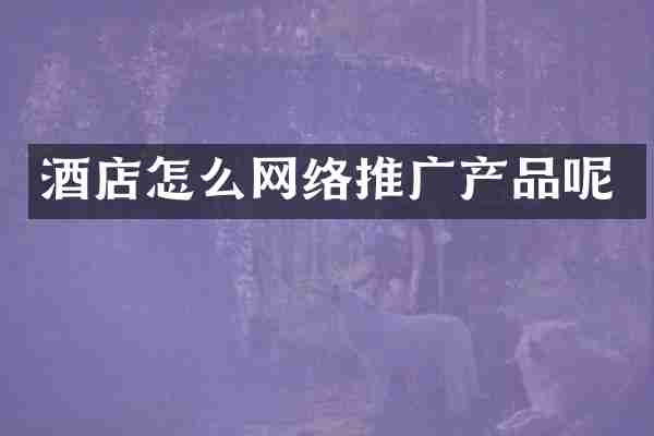 酒店怎么网络推广产品呢