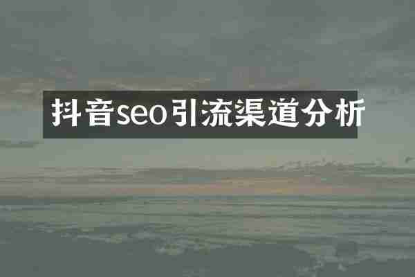 抖音seo引流渠道分析