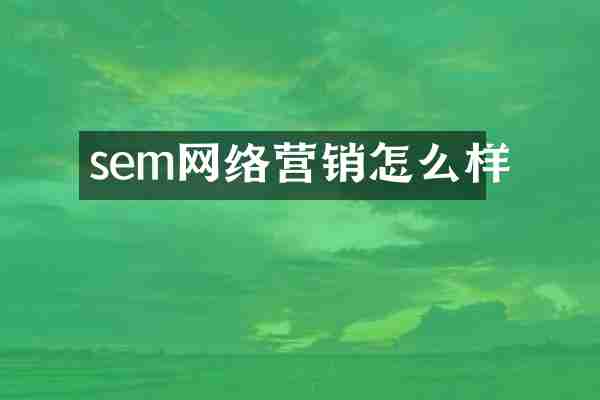 sem网络营销怎么样
