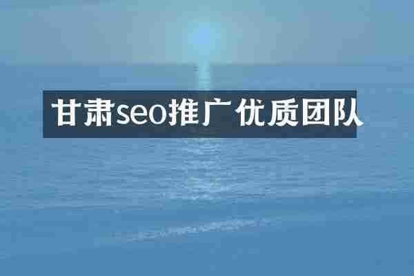 甘肃seo推广优质团队