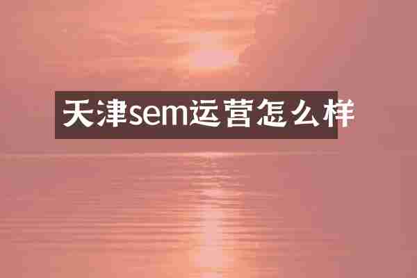 天津sem运营怎么样