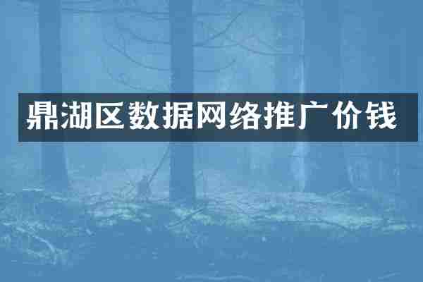 鼎湖区数据网络推广价钱