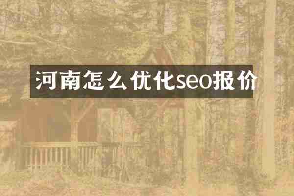 河南怎么优化seo报价