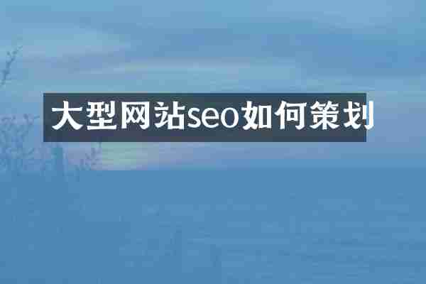 大型网站seo如何策划