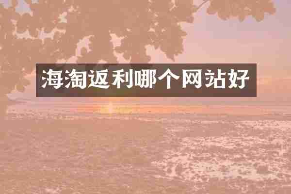海淘返利哪个网站好