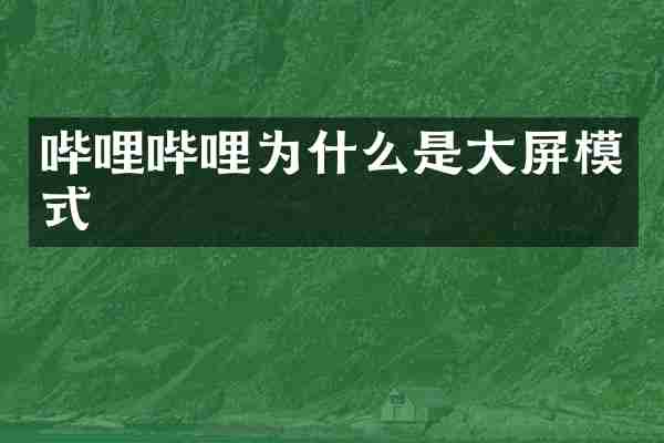 哔哩哔哩为什么是大屏模式