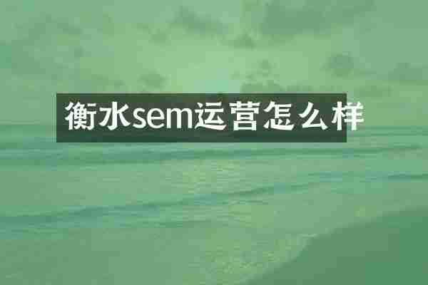 衡水sem运营怎么样