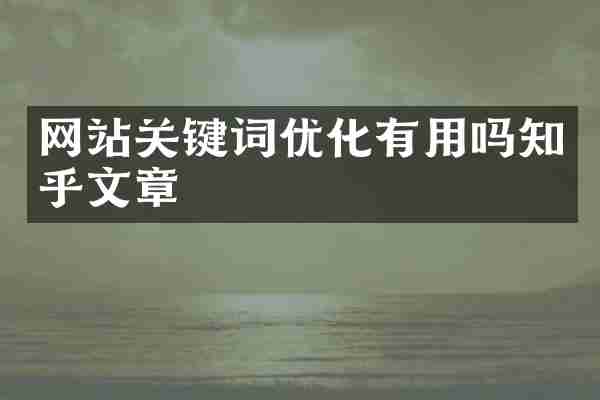网站关键词优化有用吗知乎文章
