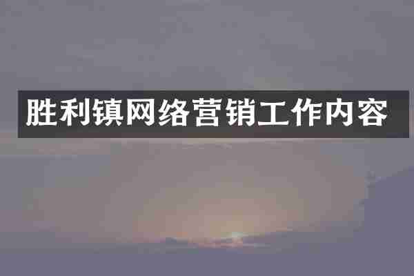 胜利镇网络营销工作内容