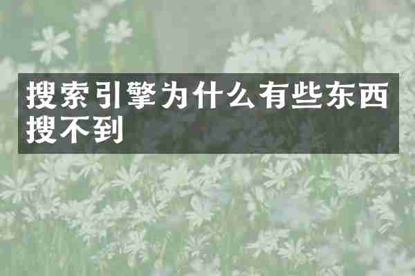 搜索引擎为什么有些东西搜不到