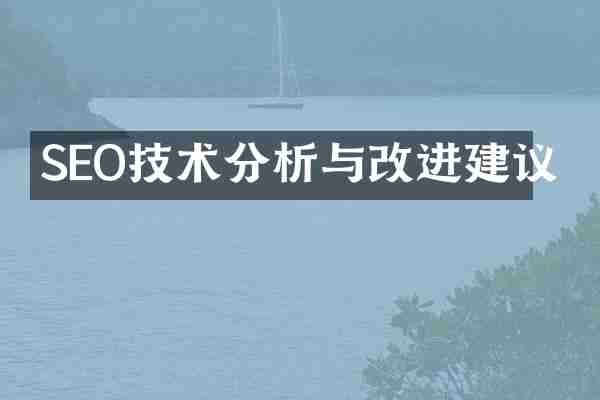 SEO技术分析与改进建议