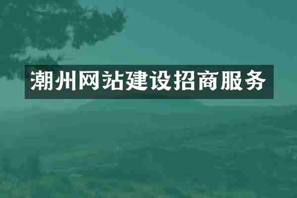 潮州网站建设招商服务