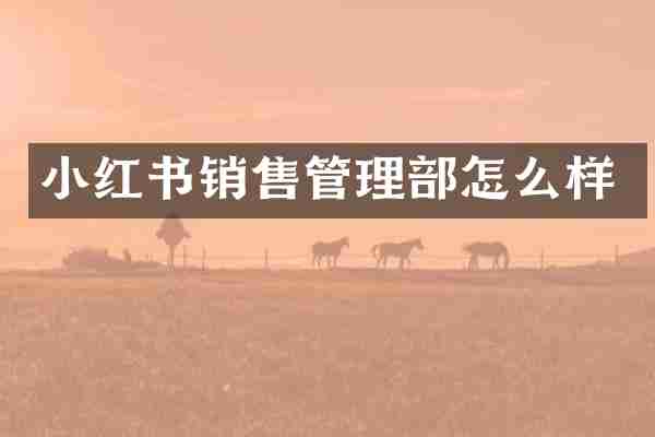 小红书销售管理部怎么样