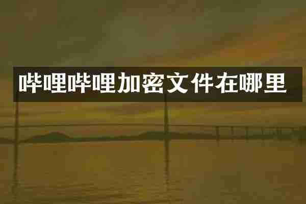 哔哩哔哩加密文件在哪里