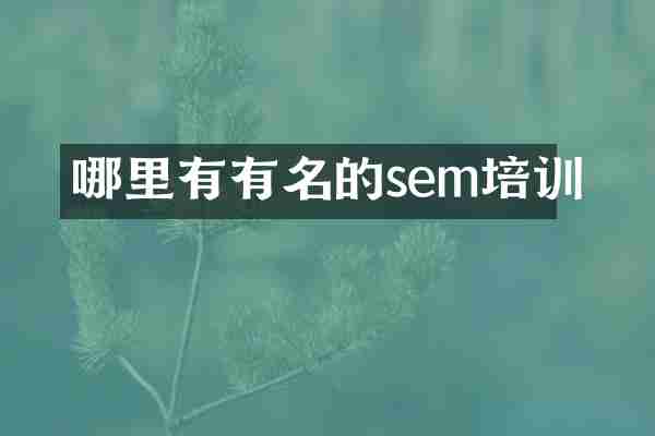 哪里有有名的sem培训