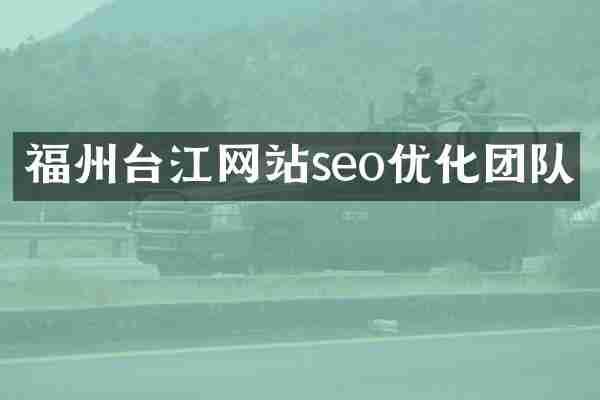 福州台江网站seo优化团队