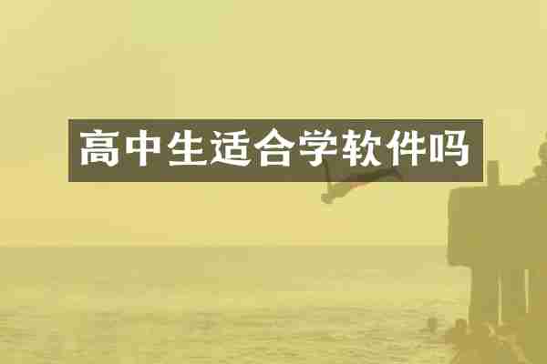 高中生适合学软件吗