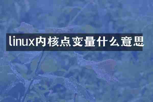 linux内核点变量什么意思