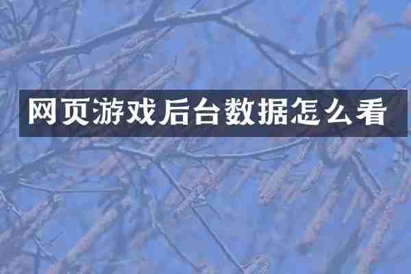 网页游戏后台数据怎么看