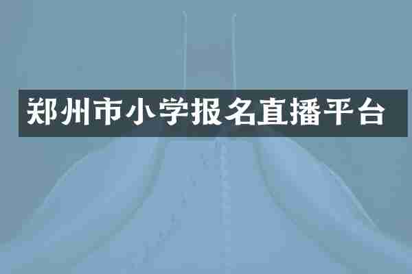 郑州市小学报名直播平台