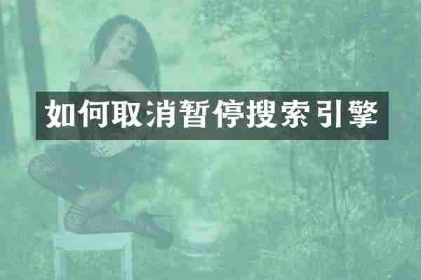 如何取消暂停搜索引擎