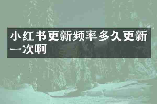 小红书更新频率多久更新一次啊